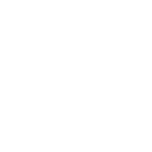 white china arya